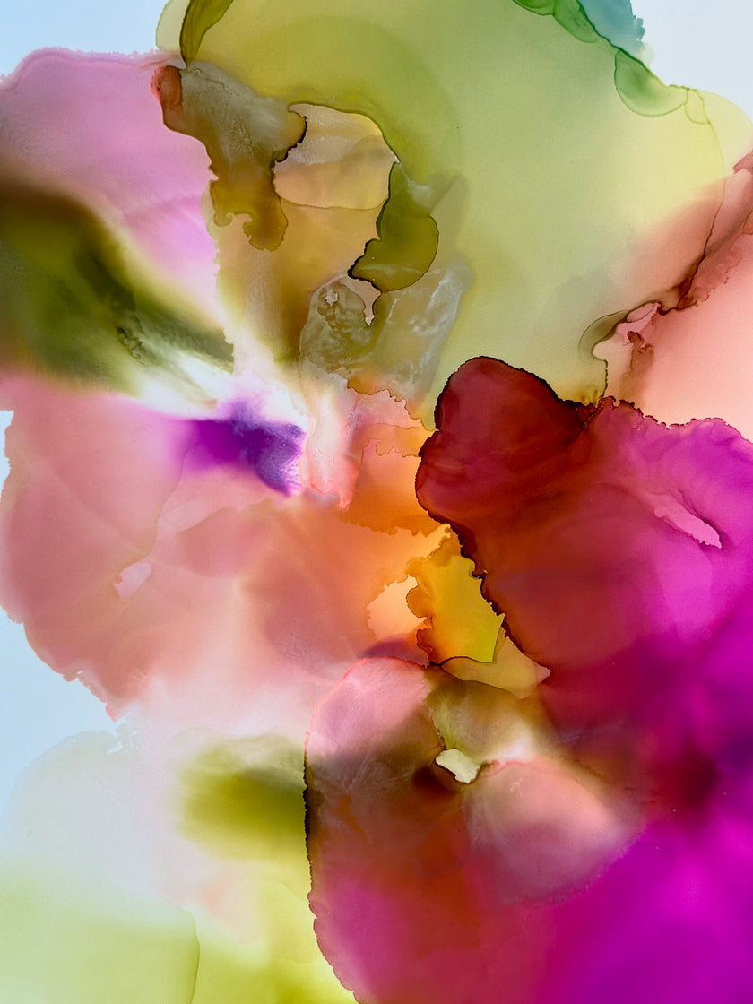 Pink Orchid Blooms 3